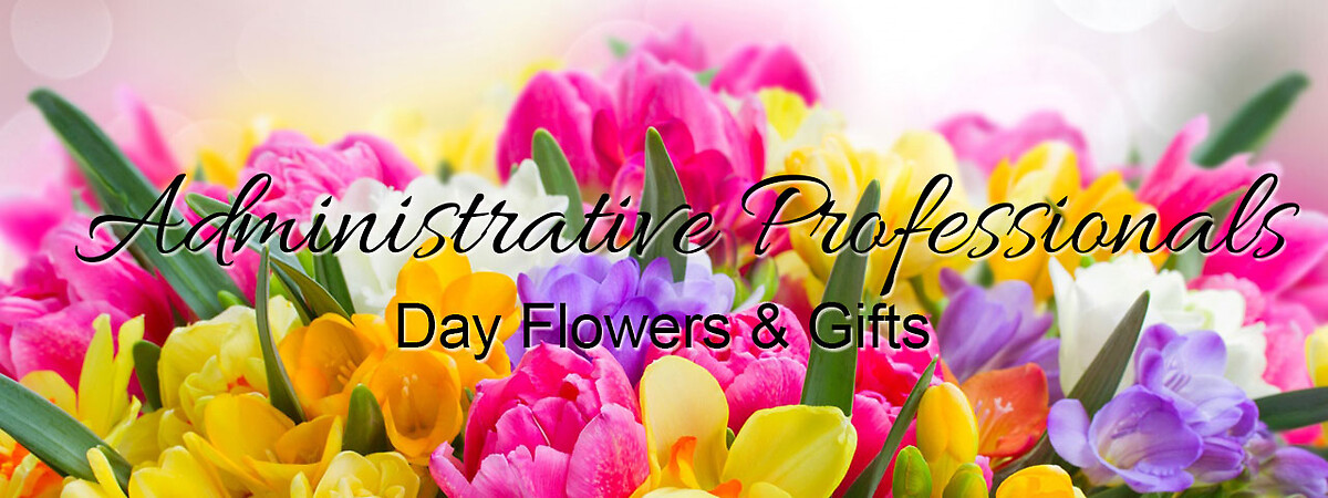 Admin Professional Week